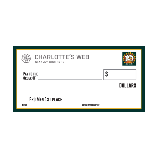 Giant check sign for contests, donations, and award ceremonies