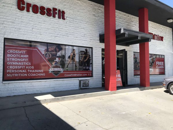 Custom window decal showing gym logo, visible from outside only.