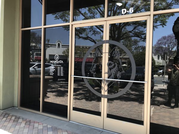 Custom gym window decal for storefront branding and privacy