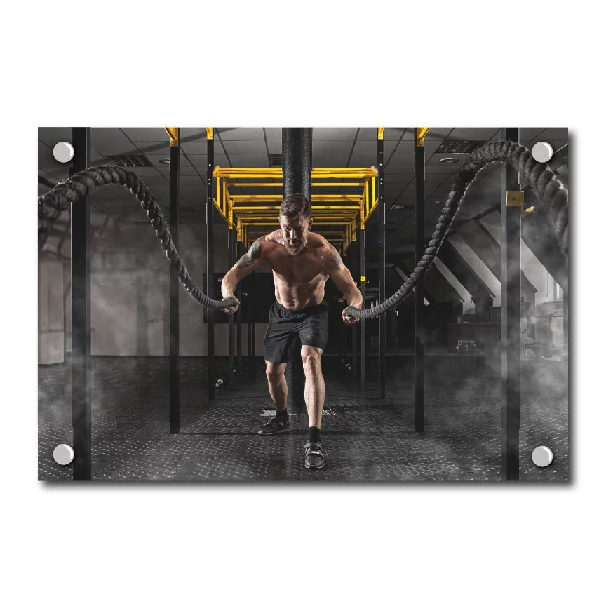 Vibrant clear gloss vinyl prints face mounted on Acrylic/Plexiglass and backed with white vinyl.