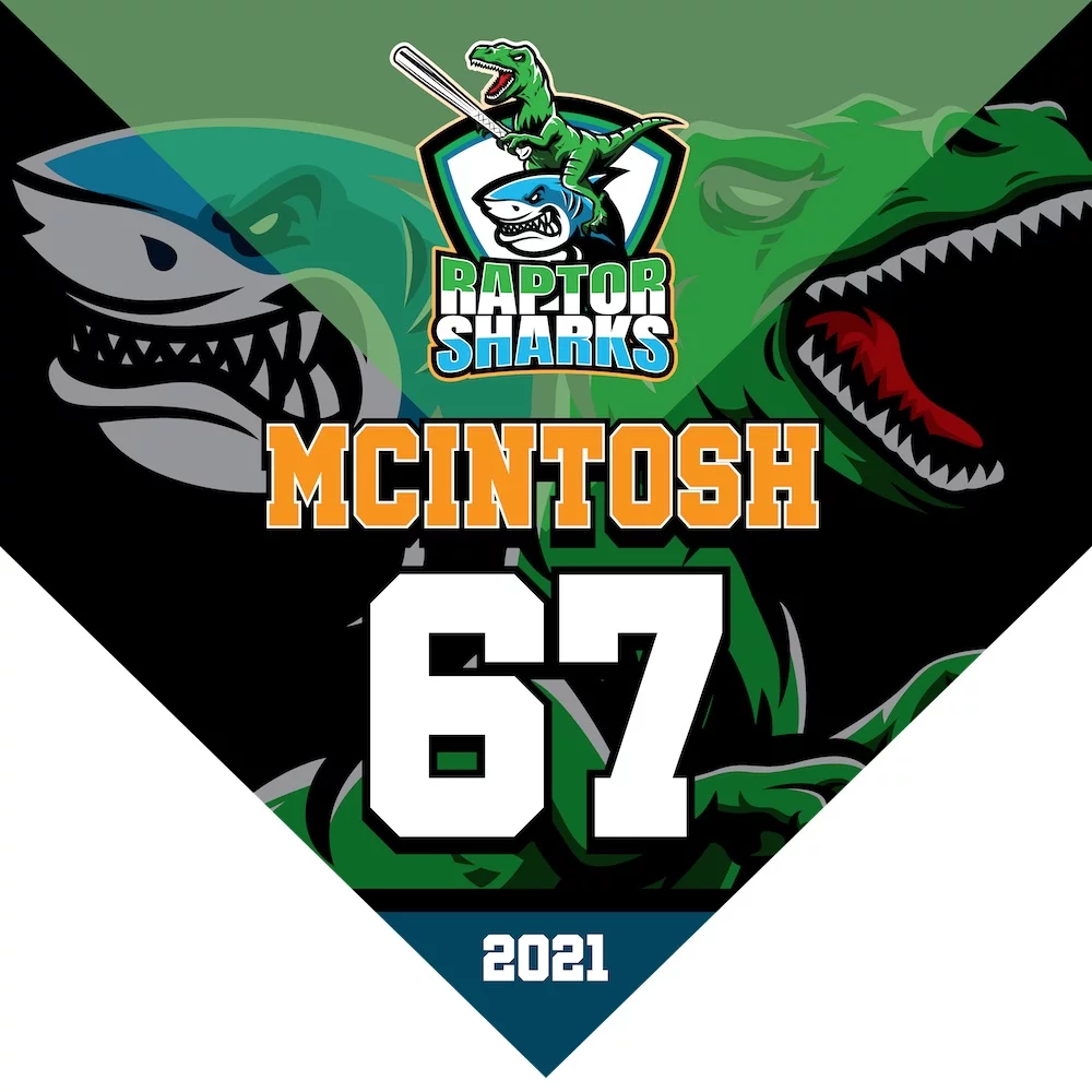 An image of a baseball pennant banner made from 13oz matte vinyl. The banner is 17" x 17" with a sharp, clean knife-trimmed edge. It features grommets in the top corners for easy hanging. The banner is likely adorned with baseball-themed graphics or team logos, suitable for decorating spaces with a sports theme.