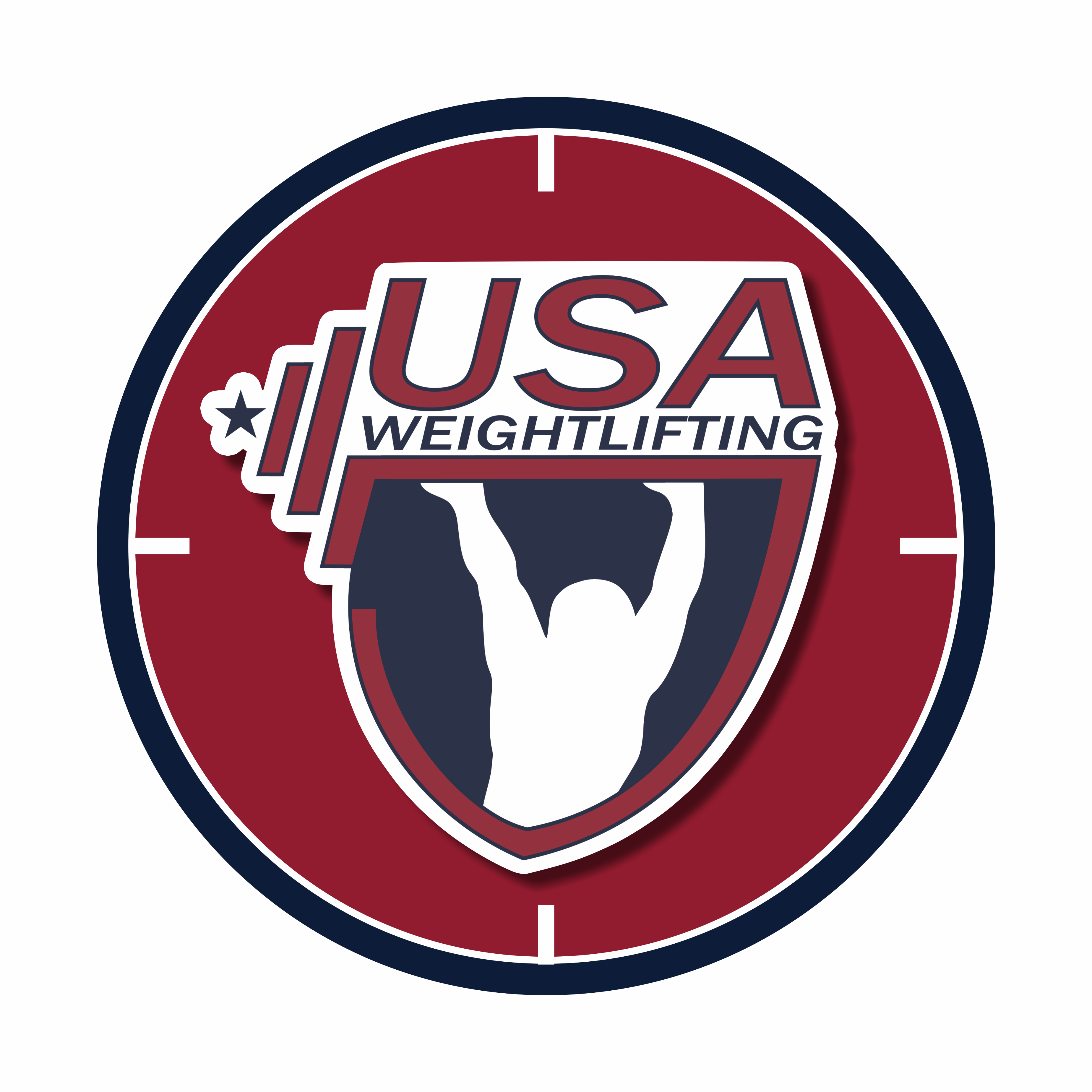 USAW Wall Ball Targets for CrossFit, custom logo and color options, 12" or 16" diameter.
